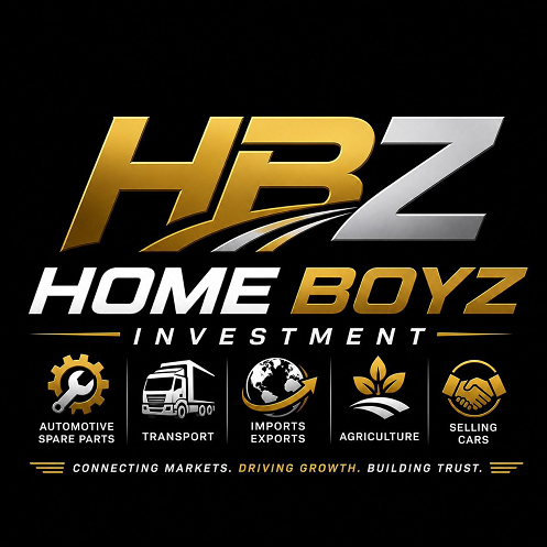 Home Boyz Logo